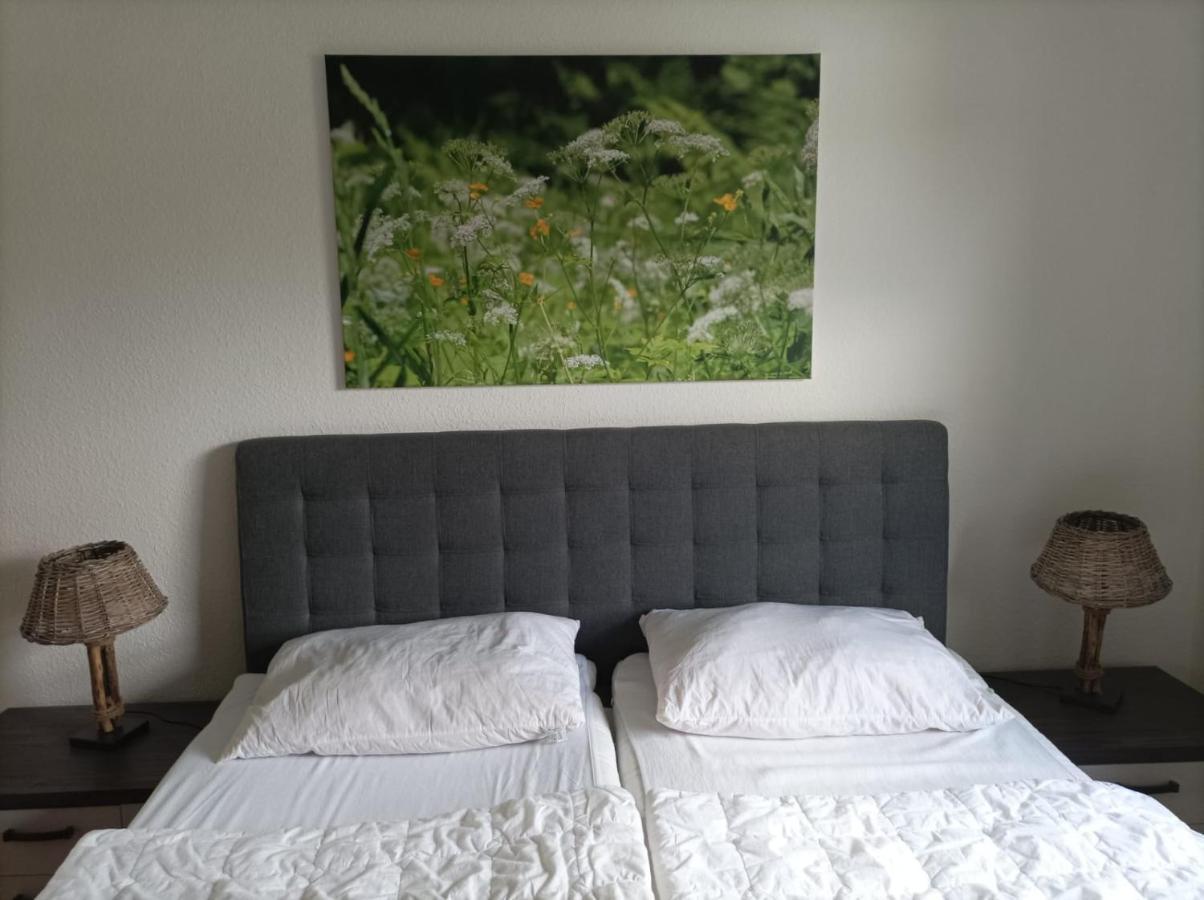 Ferienresidenz Wurmbergblick Apartment Braunlage Exterior photo